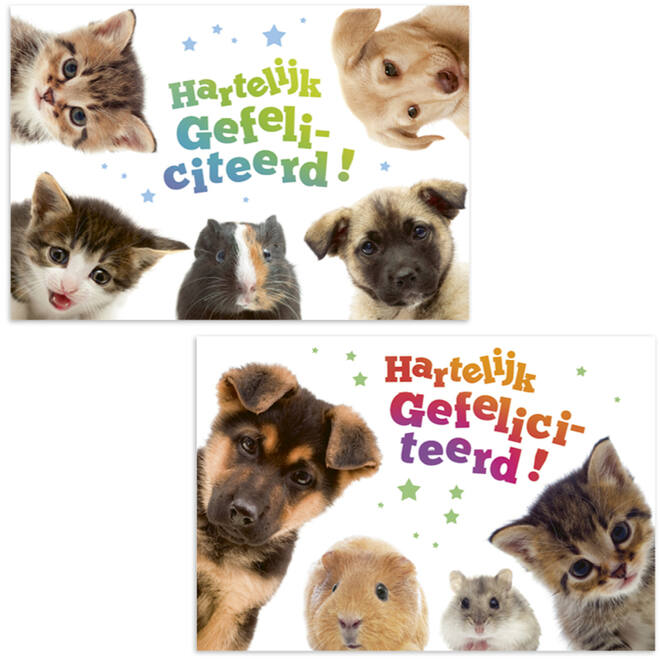 Miniposters 1049 dierenvrienden, 2 motieven, 20 stuks