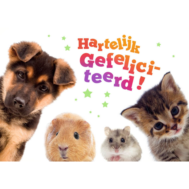 Miniposters 1049 dierenvrienden, 2 motieven, 20 stuks
