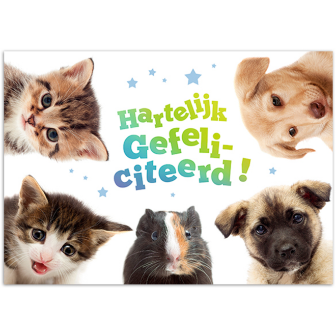 Miniposters 1049 dierenvrienden, 2 motieven, 20 stuks
