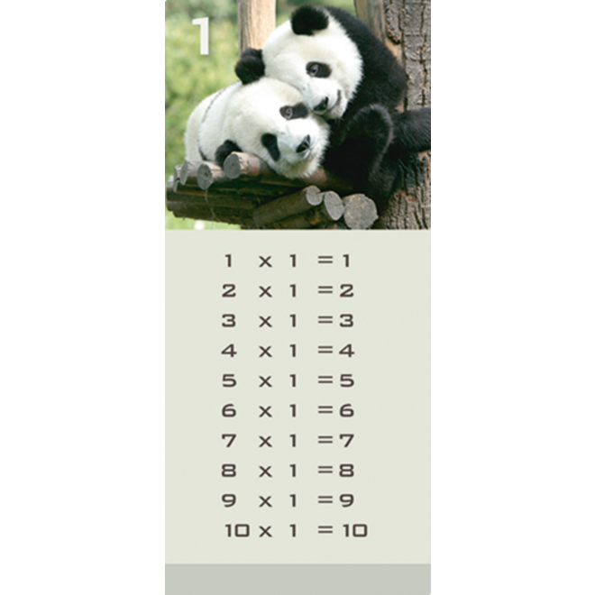 Tafelkaartjes Werelddieren 3022 12 motieven, 120 stuks