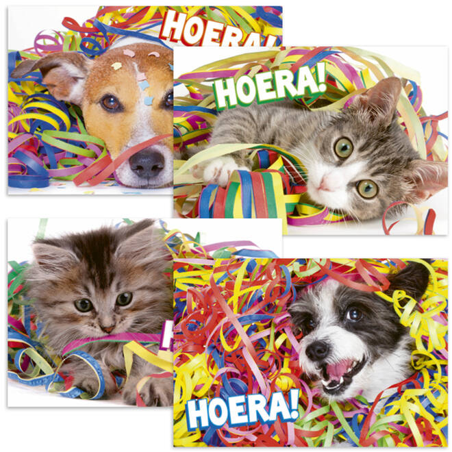 Ansichtkaarten 5747 confettidieren, 4 motieven, 48 stuks