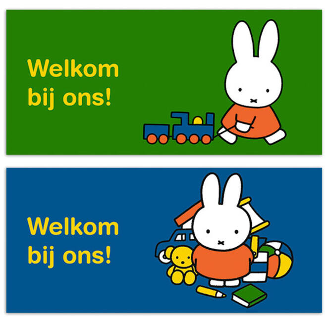 Oproepkaarten 5286 Nijntje algemeen, 2 motieven, 25 stuks