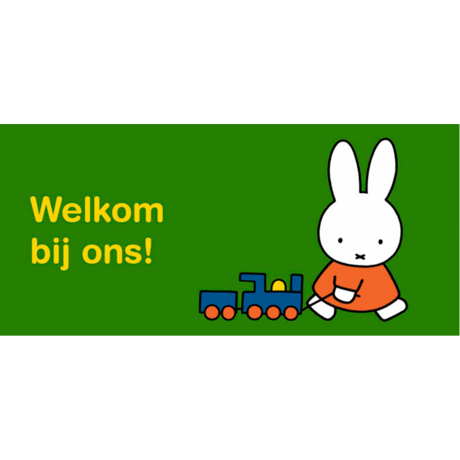 Oproepkaarten 5286 Nijntje algemeen, 2 motieven, 25 stuks