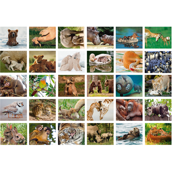 Beloningsstickers Dieren met jong 386, 30 motieven, 600 stuks