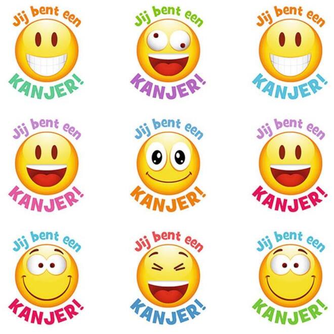 Beloningsstickers Kanjersmileys 384 , 12 motieven, 240 stuks