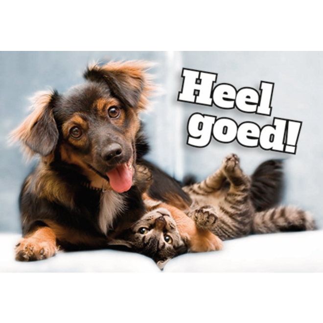 Beloningskaarten Motivatiedieren 4567, 6 motieven, 96 stuks