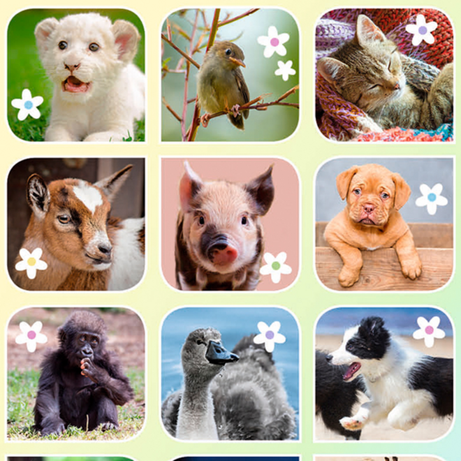 Beloningsstickers 462 Lieve Lentediertjes, 35 motieven, 700 stuks
