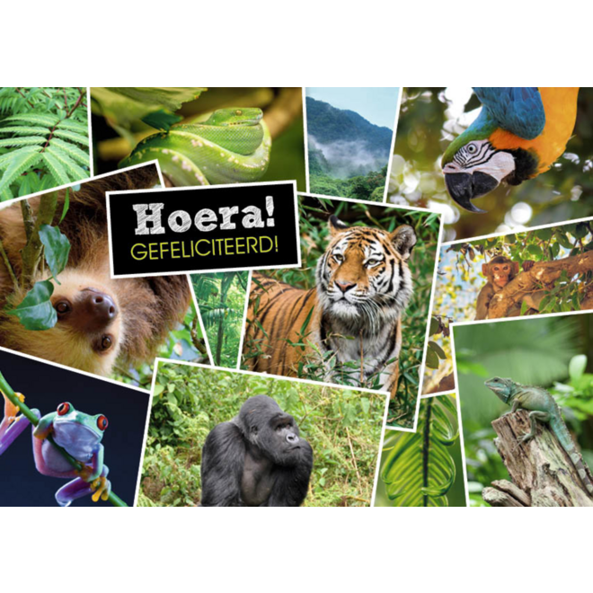 Miniposters 1071 Dieren in Kaders, 4 motieven, 20 stuks