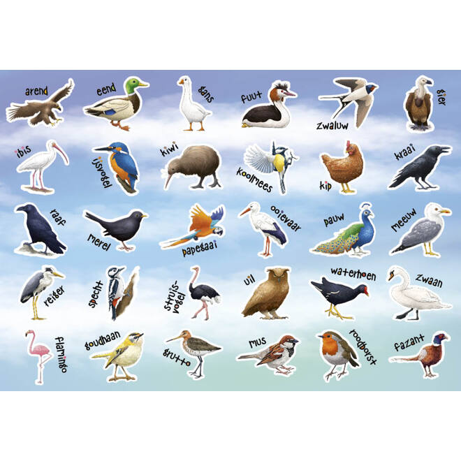 Beloningsstickers 149 Vogels 36 motieven, 720 stuks