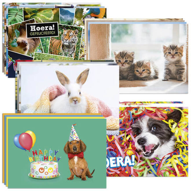 Ansichtkaarten snelbestelpakket Dieren 20-24 mot. 240 st.