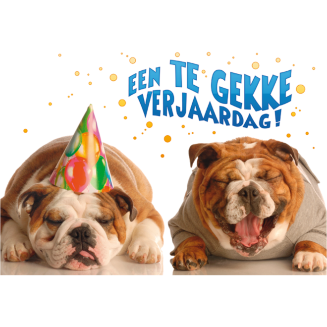 Miniposters Grappige Dieren 991 4 motieven, 20 stuks