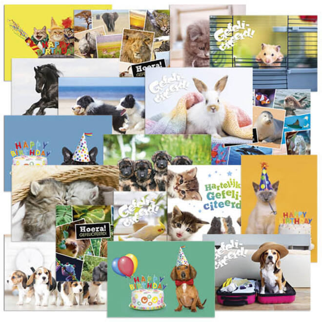 Miniposters Dieren Mix 1101, 18 motieven, 18 stuks