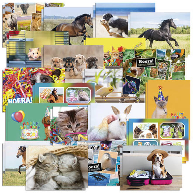 Ansichtkaarten 5401 Dieren Mix, 20 motieven, 40 stuks