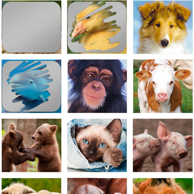 Krasstickers 644 babydieren, 40 motieven, 600 stuks