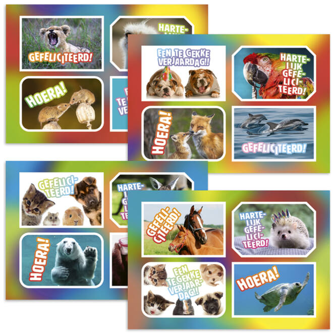 Ansichtkaarten 5760 Felicitatiedieren 4 motieven, 48 kaarten