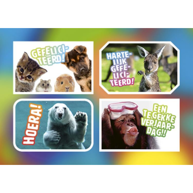Ansichtkaarten 5760 Felicitatiedieren 4 motieven, 48 kaarten
