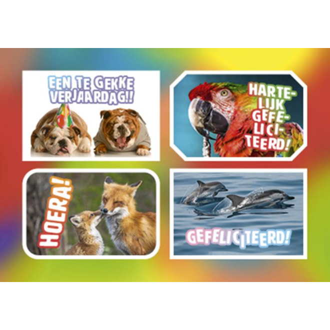 Ansichtkaarten 5760 Felicitatiedieren 4 motieven, 48 kaarten