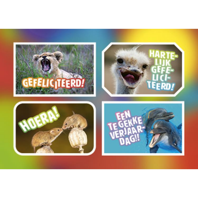 Ansichtkaarten 5760 Felicitatiedieren 4 motieven, 48 kaarten