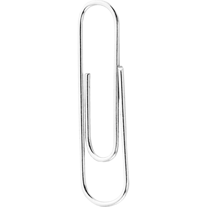 Paperclips 30 mm, 100 stuks