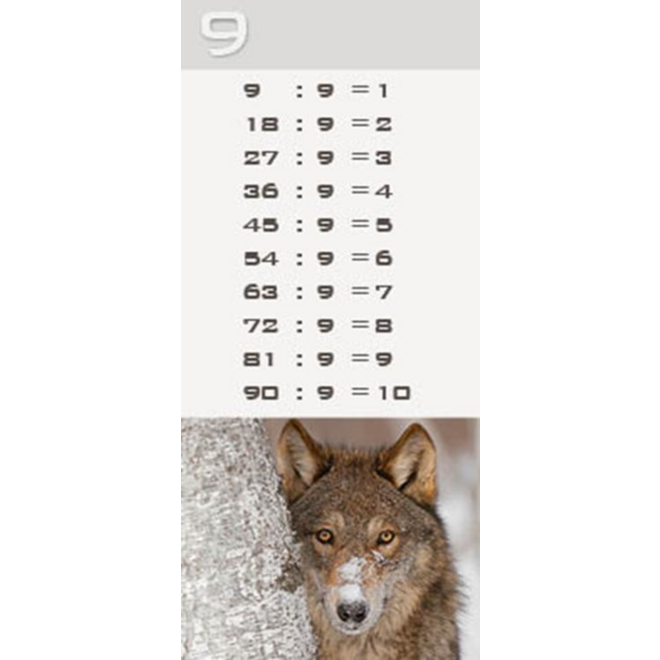 Deelkaartjes 3026 Werelddieren 10 motieven, 120 kaarten