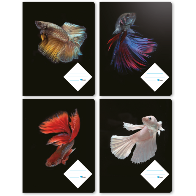 Schriften 24 lijnen, vissen, 16,5 x 21 cm, 80 gr (25 stuks)