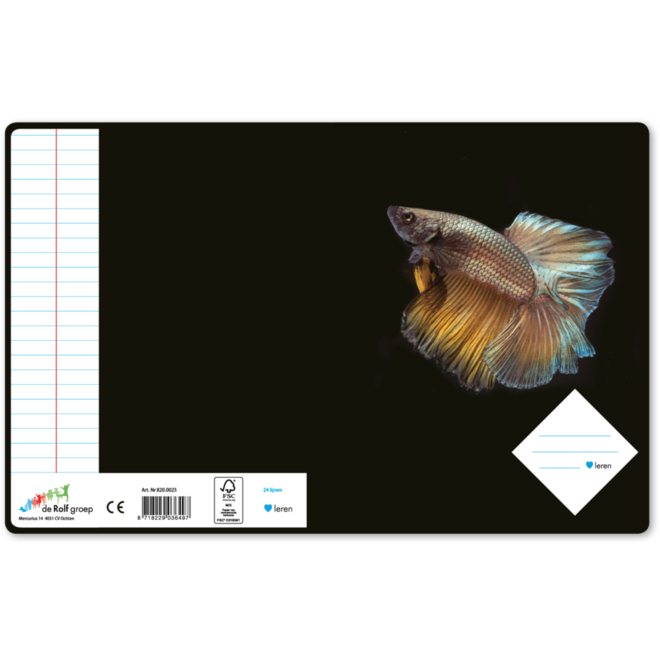 Schriften 24 lijnen, vissen, 16,5 x 21 cm, 80 gr (25 stuks)
