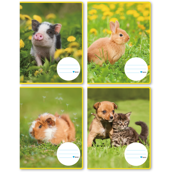 Schriften 4,5-3-4,5, jonge dieren, 16,5 x 21 cm, 80 gr (25 stuks)