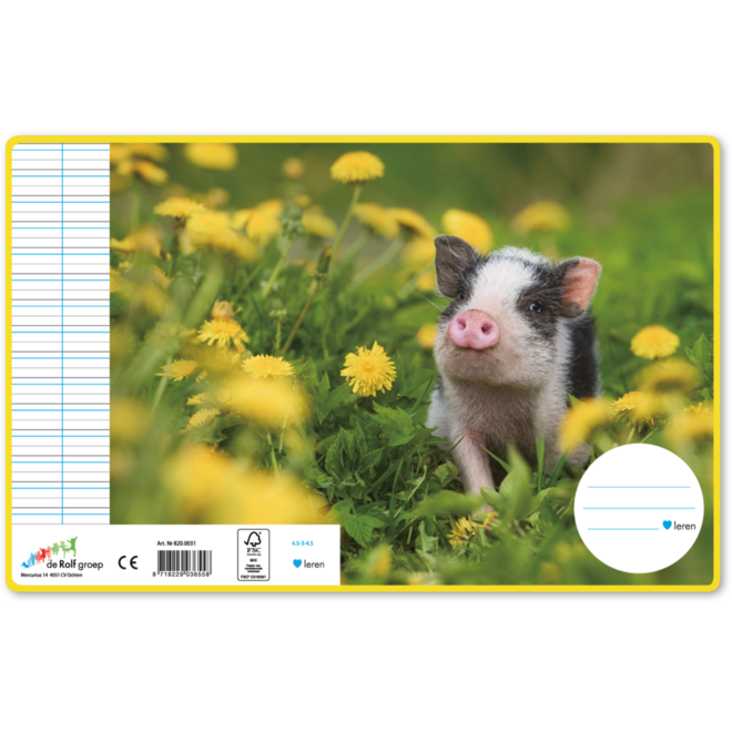 Schriften 4,5-3-4,5, jonge dieren, 16,5 x 21 cm, 80 gr (25 stuks)