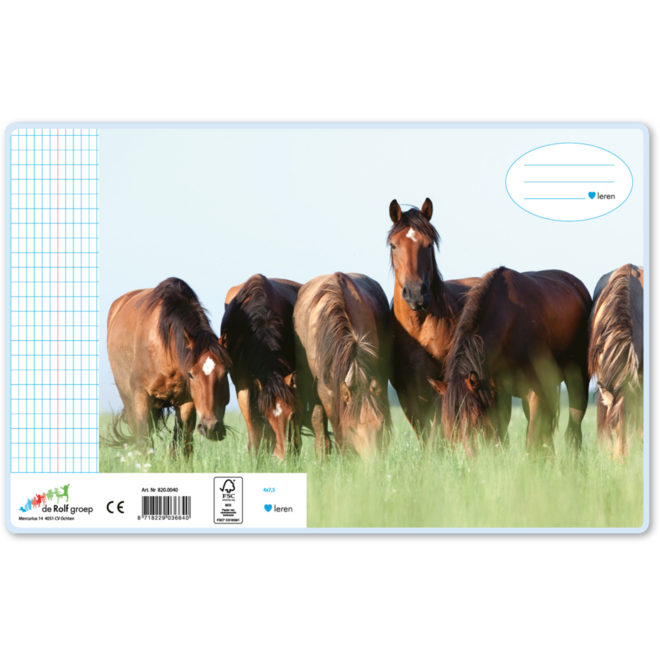 Schriften commerciaal 4x7,5 mm, paarden, 16,5 x 21 cm (25 stuks)