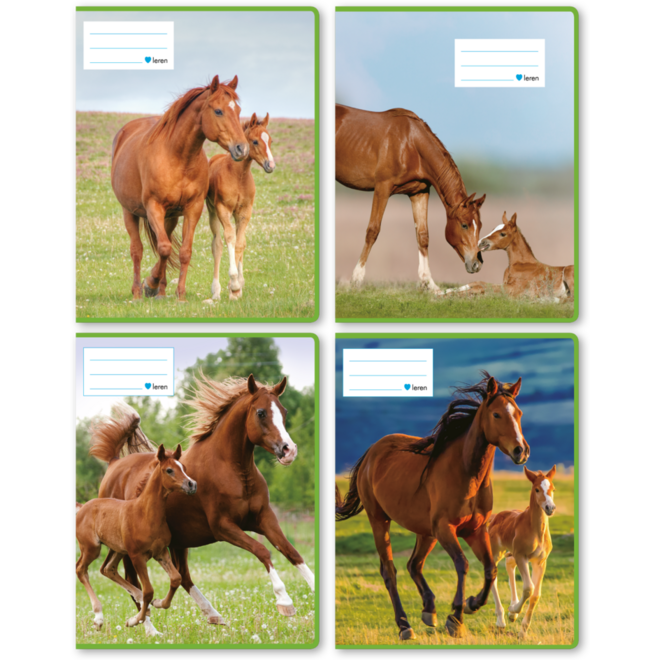 Schriften 6-4-6, paarden met jong, 16,5 x 21 cm, 80 gr (25 stuks)