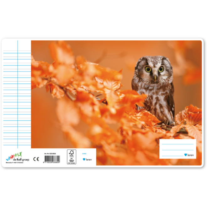 Schriften 6-4-6, uilen, 16,5 x 21 cm, 80 gr (25 stuks)