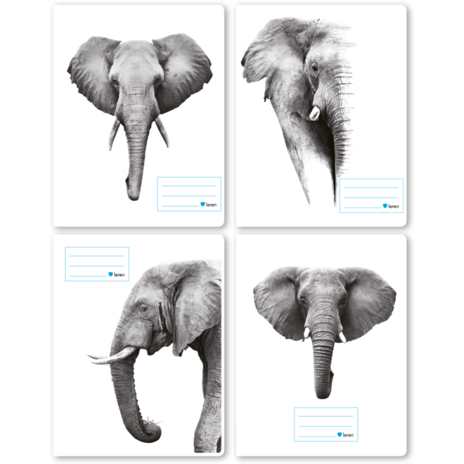 Schriften 7,5-5-7,5, olifant, 16,5 x 21 cm, 80 gr (25 stuks)