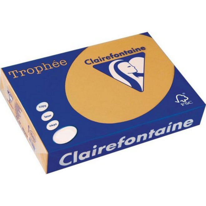 Kopieerpapier A4 mokka FSC 500 vel, 80 grs.