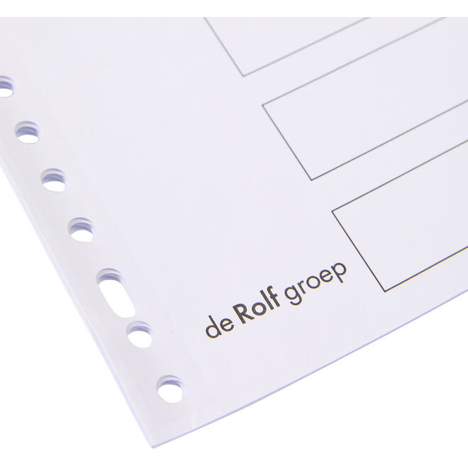 Tabbladen A4 23-rings karton met kunststof tabs, 10-delig