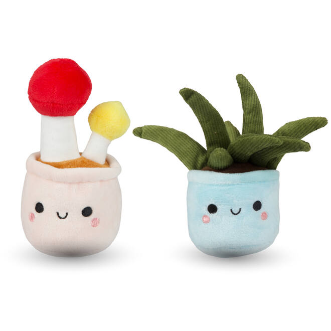 Pluchen plant in pot 12 cm assorti