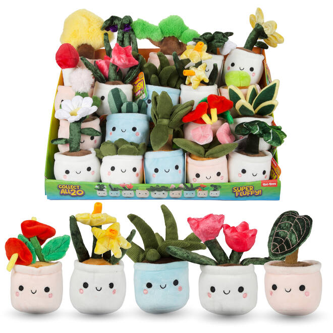 Pluchen plant in pot 12 cm assorti
