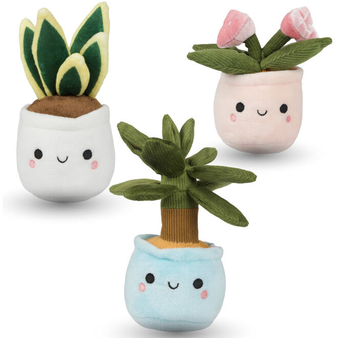 Pluchen plant in pot 12 cm assorti