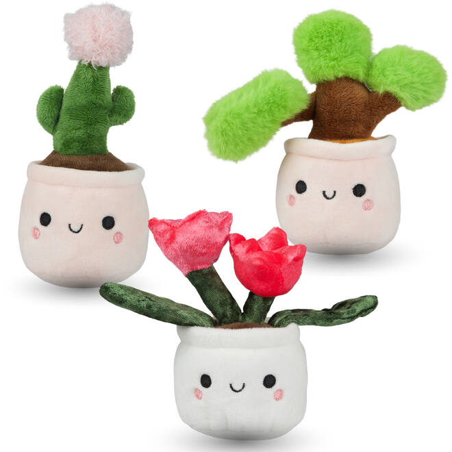 Pluchen plant in pot 12 cm assorti