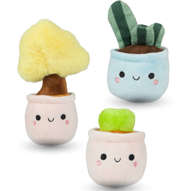 Pluchen plant in pot 12 cm assorti