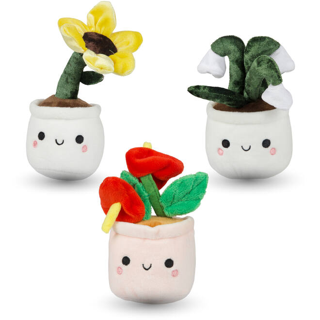 Pluchen plant in pot 12 cm assorti