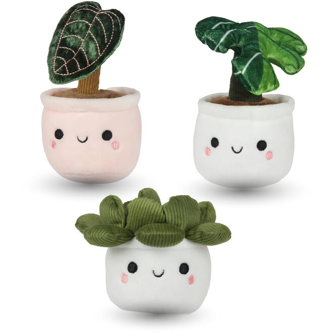 Pluchen plant in pot 12 cm assorti