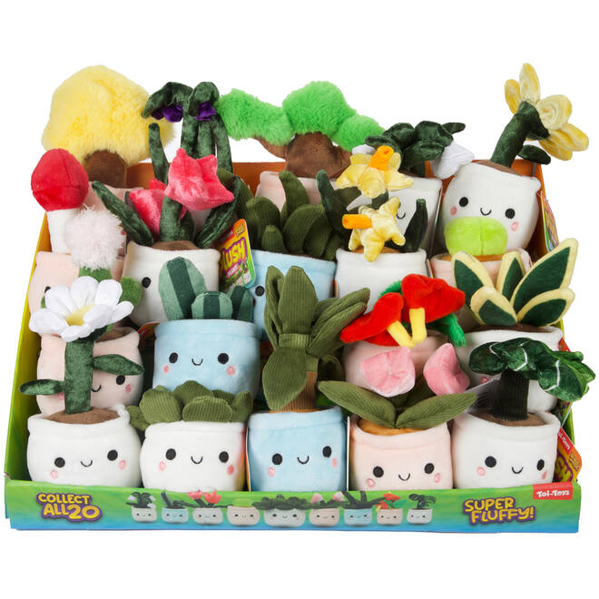 Pluchen plant in pot 12 cm assorti