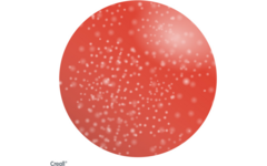 Glitterverf Creall 250 ml rood