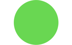 Plakkaatverf Creall Fluor 250 ml groen