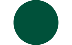 Plakkaatverf Creall Color+ 1000 ml donkergroen