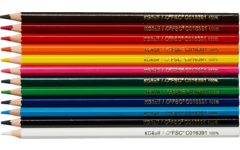 Kleurpotloden | de Rolf groep | 3,8 mm assorti, 12 stuks