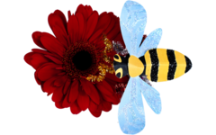 Insecten gestanst, in diverse uitvoeringen, 64 stuks