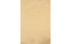 Goudpapier 50 x 65 cm, 10 vel 60 gram