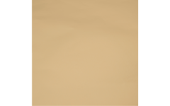 Goudpapier 50 x 65 cm, 10 vel 60 gram