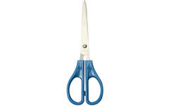 Schaar 15 cm budget met spitse punten